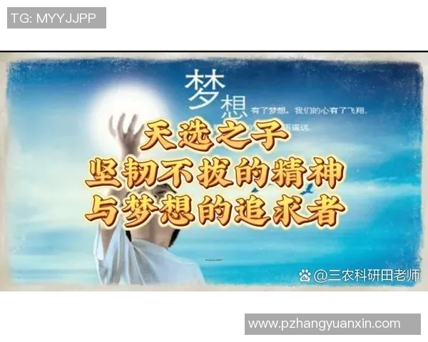 张宁的奋斗历程与成功秘诀揭示了新时代青年应如何把握机遇实现梦想